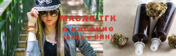 хмурый Аркадак