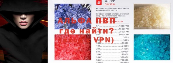 хмурый Аркадак