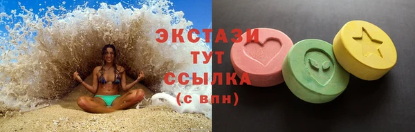 хмурый Аркадак
