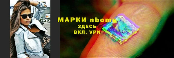 хмурый Аркадак