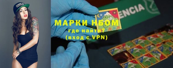 хмурый Аркадак