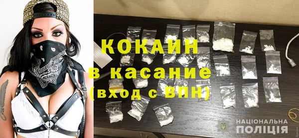 хмурый Аркадак