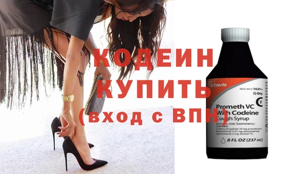 хмурый Аркадак