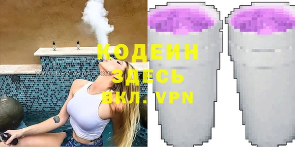 хмурый Аркадак