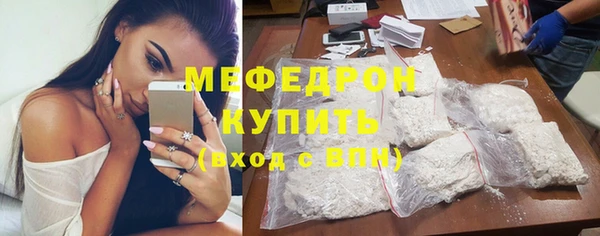 хмурый Аркадак