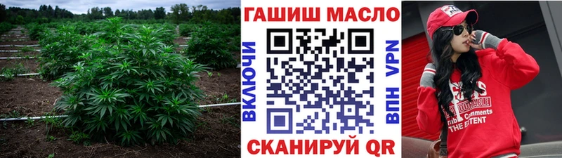 где купить   Новоульяновск  ТГК гашишное масло 