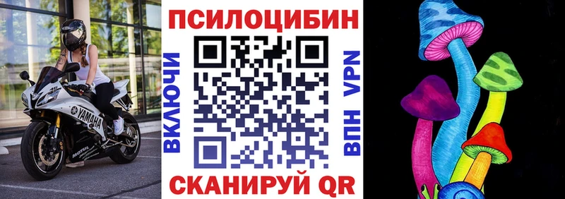 Псилоцибиновые грибы мицелий купить наркотики сайты Новоульяновск
